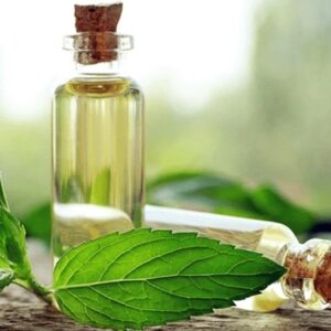 Hương Bạc hà tự nhiên